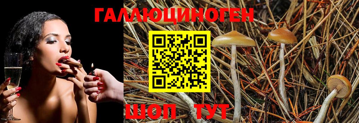 Чебаркуль  Псилоцибиновые грибы Cubensis  Вход с VPN  Галлюциногенные грибы GOLDEN TEACHER 