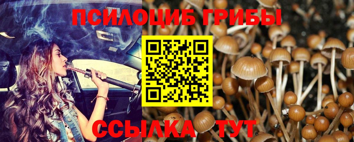Псилоцибиновые грибы мицелий Чебаркуль